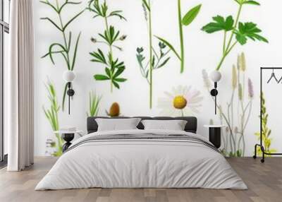 A collection of flowers and plants in various colors and sizes. Concept of natural beauty and diversity Wall mural