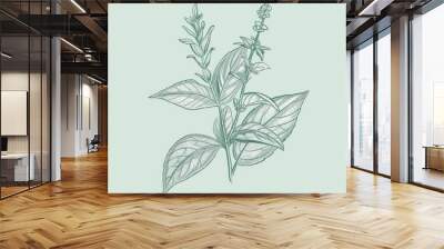 A drawing of a plant with a green background. The drawing is of a leafy plant with a stem and a flower. The drawing is very detailed and has a lot of texture Wall mural