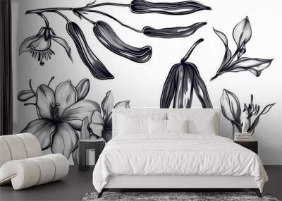 A set of botanical illustrations in black and white featuring a pansy, pepper pods, and dandelion. Wall mural