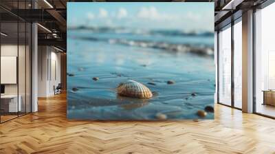 A shell is laying on the sand at the beach. The shell is white and has a brown center. The beach is calm and peaceful, with the ocean in the background Wall mural