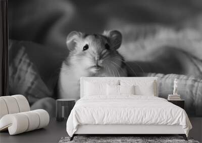 A small hamster is sitting on a bedspread. The hamster is looking at the camera Wall mural