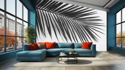 Close-up of a palm leaf, showing its natural texture and detail. Wall mural