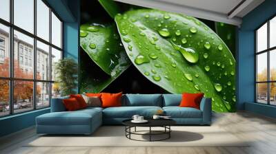 Leaf is wet with raindrops, giving it fresh and vibrant appearance Wall mural