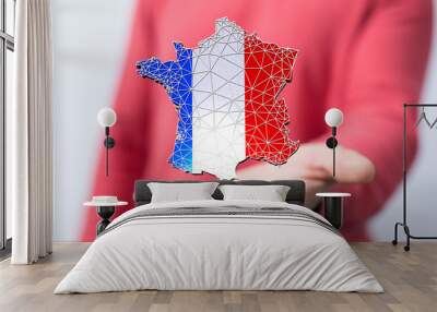 3d Digital France map country modern. Wall mural