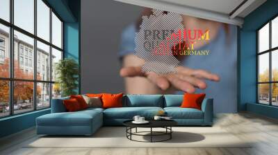 3d germany map digital outline silhouette Wall mural