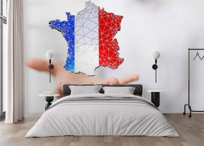 Digital France map country 3d Wall mural