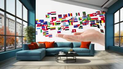 flags Wall mural