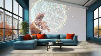 interface Wall mural