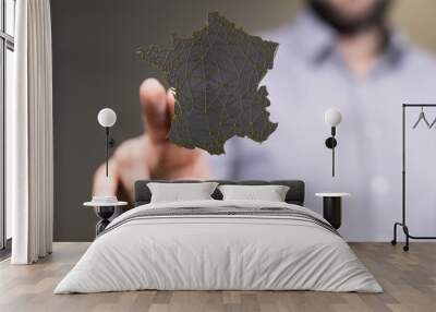 modern france map of the country 3d Wall mural