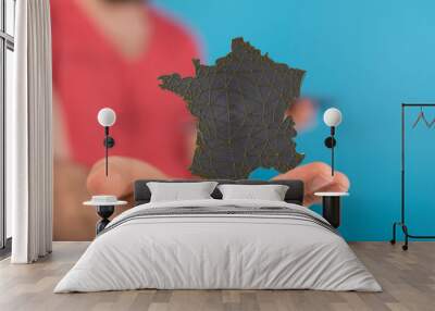 modern france map of the country 3d Wall mural