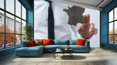 modern france map of the country 3d Wall mural