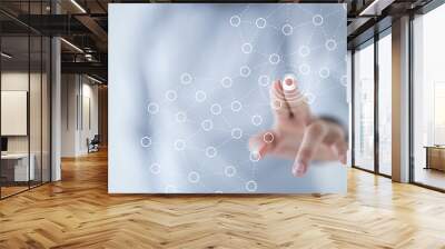 net - network holding in hand 3d connection data Wall mural