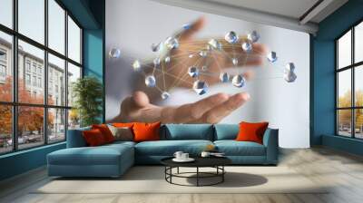 net Wall mural