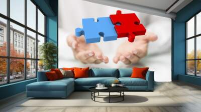 puzzle Wall mural