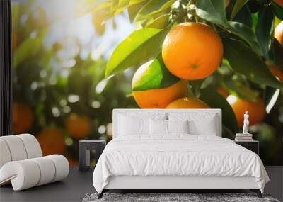 Bunch of fresh ripe oranges hanging on a tree in orange garden. Details of Spain Wall mural