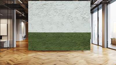 Double colored grunge wall with slightly rough texture, divided in two parts. Wall painted in two colors, white and green Wall mural