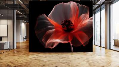 Red poppy flower on black background. Remembrance Day, Armistice Day, Anzac day symbol Wall mural