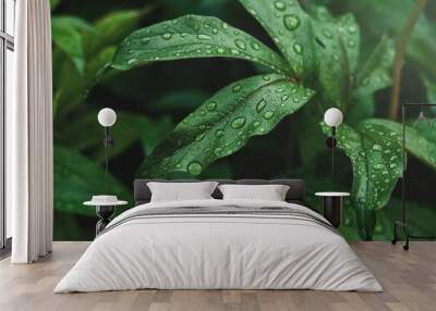 green peony leaves with raindrops Wall mural