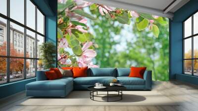 beautiful blossom quince flower Wall mural