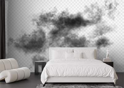 one big black cloud from fire or conflagration. dark gloomy realistic smoke or smog isolated on whit Wall mural