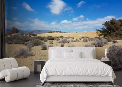 Sandy dunes and Tumbleweeds below a blue sky Wall mural