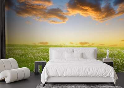 Dandelions field in the sunset. Spring landscape. Wall mural