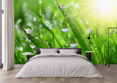 Fresh grass with dew drops close up Wall mural