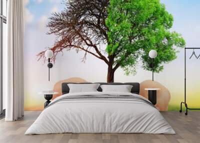 Live and dead tree in hands. Global warming or climate change concepts. Wall mural