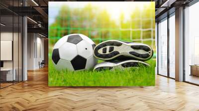 Soccer ball and shoes on football playground. Wall mural