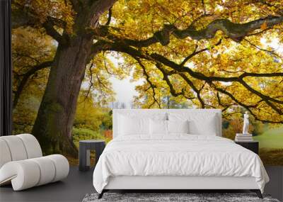 Tree with golden leaves in autumn Wall mural