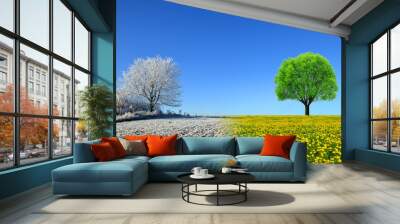 Winter and spring landscape with blue sky. Concept of change season. Wall mural