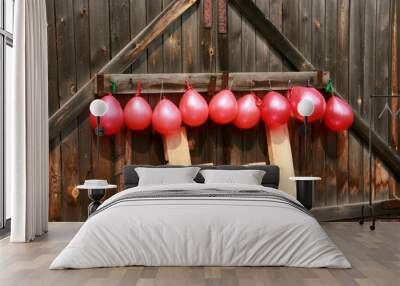 Balls are hanging on a wooden gate. Throw Darts at the target. Wall mural