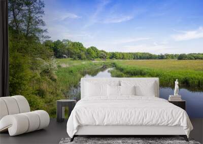 Drenste Aa river flowing through the landscape near Schipborg, Netherlands Wall mural