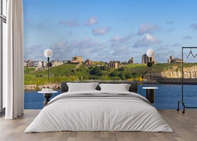 Panorama of the Tynemouth Priory and Castle in Newcastle upon Tyne, England Wall mural