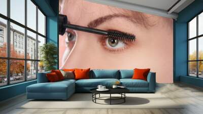 Woman eye with  eyelashes. Mascara Brush Wall mural