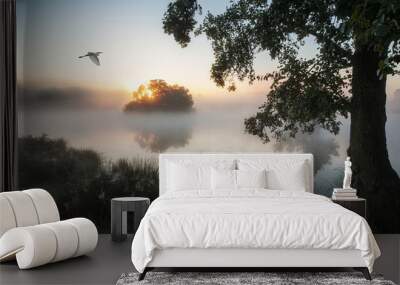 beautiful autumnal landscape image of birds flying over misty la Wall mural