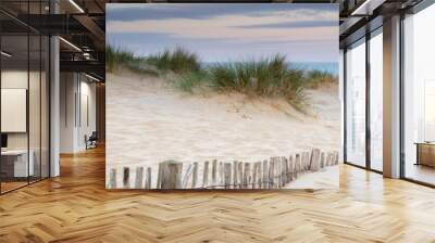 Panorama landscape of sand dunes system on beach at sunrise Wall mural