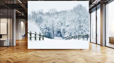 Path through English rural countryside in Winter with snow Wall mural