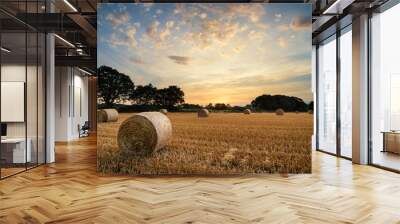 Rural landscape image of Summer sunset over field of hay bales Wall mural