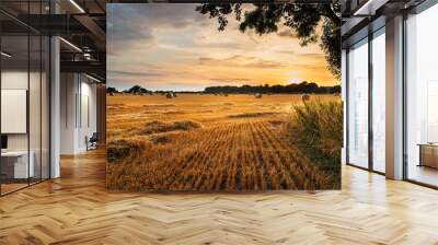 rural landscape image of summer sunset over field of hay bales Wall mural