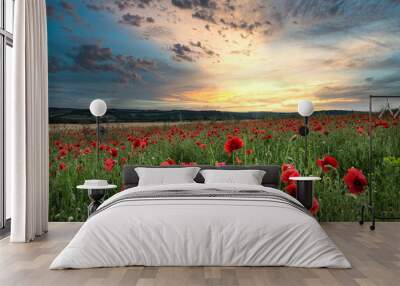 Stunning poppy field landscape in Summer sunset light Wall mural