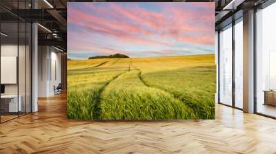 Summer landscape over agricultural farm field of crops in late afternoon Wall mural