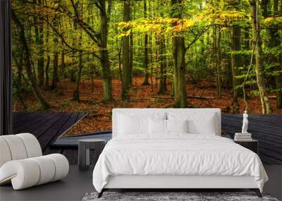 Vibrant Autumn Fall forest landscape coming out of magic book Wall mural