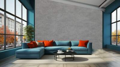 Gray leather texture background Wall mural