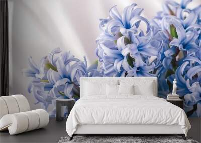 Hyacinth blue fresh flowers close up Wall mural