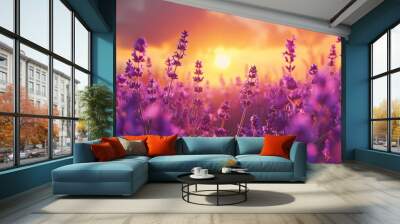 A field of purple lavender illuminated by the warm glow of the setting sun Wall mural