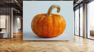 A single pumpkin with a rough, textured surface and a sturdy stem on a white background Wall mural