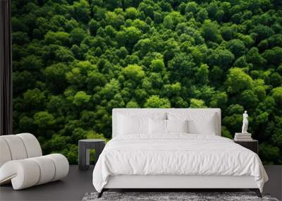 Aerial top view of summer green trees in forest Wall mural