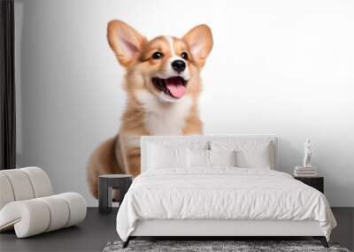 Happy Puppy Welsh Corgi. Dog winking, panting and sitting on transparent background. Isolated. Wall mural