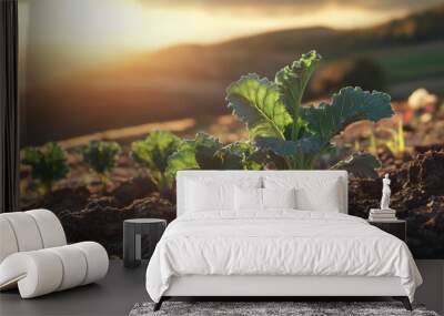 Render a detailed 3D model of a thriving kale plant under a golden sun, showcasing its deeply colored leaves and sturdy stems., Wall mural